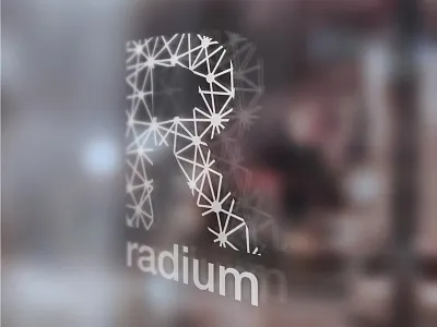 Radium Branding data flat illustration illustrator logo minimal simple