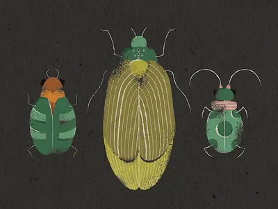 Beetles adobe beetle beetles bug bugs illustration illustrator insect stippling vector