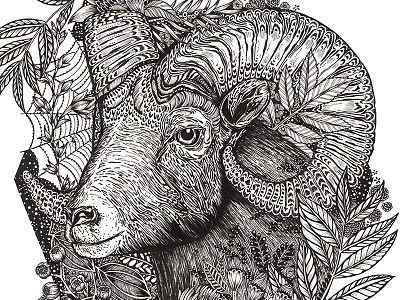 Ram Totem botanical illustration drawing illustration ink packaging pattern