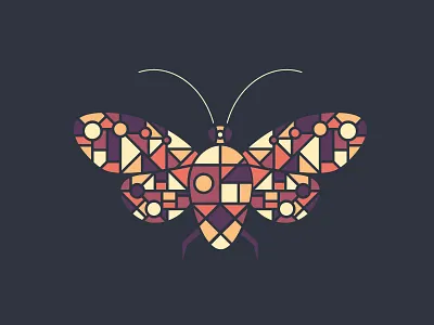 A Stained Glass Moth bug circle color design geometric glass illustrator line moth shape square stained