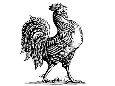 Rooster Icon artwork engraving graphic design illustration illustrator line art linocut logo scratchboard steven noble woodcuts