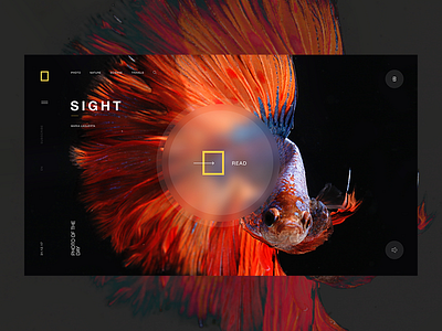 Nat Geo Concept interface natgeo ui ux