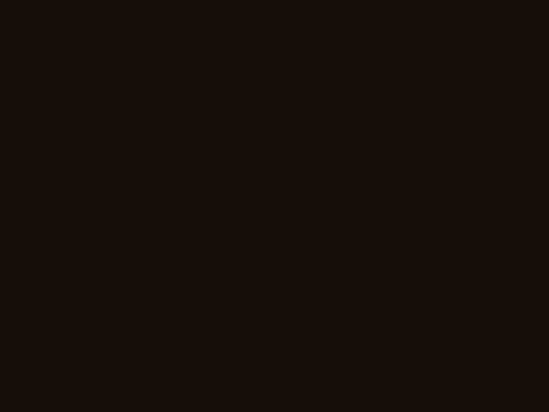 Animated logotype animation cel animation color liquid logo typography