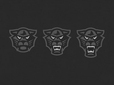 The Eye of the Panther icon logo panther