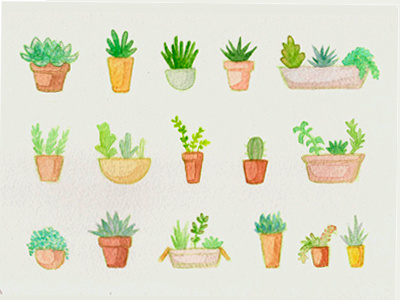 Some Plants cactus design graphic design icons idea illustration plants succulents traditional watercolor watercolor plants