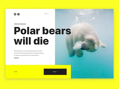DailyUi #032: "Crowdfunding Campaign" 032 animal bear bears challenge charity concept crowdfunding campaign daily ui design donate help safe typography ui ux web wwf