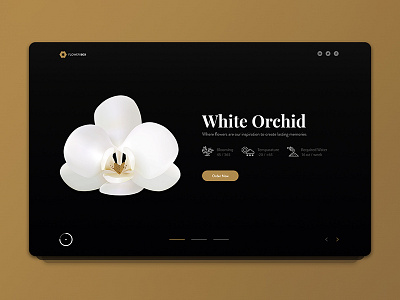 Flower Dribbble card flower ui white orchid