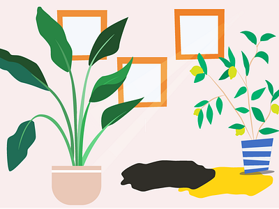 Plants