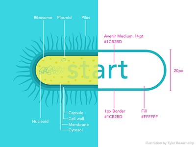 Bacterial Button bacteria button specs ux