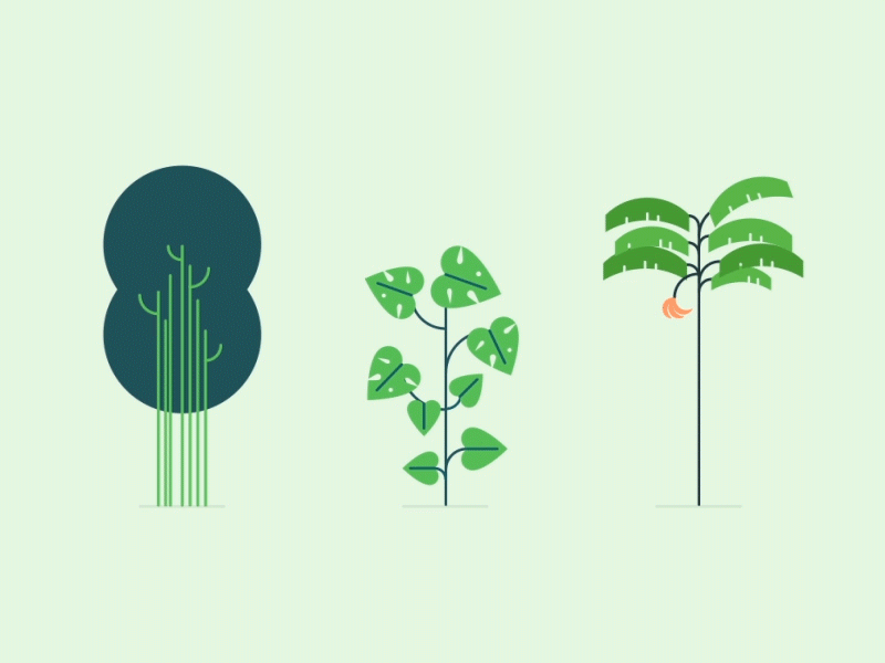 Jungle trees 2018 animation bananas forest gif jungle leaves monstera plants teaser tree vector