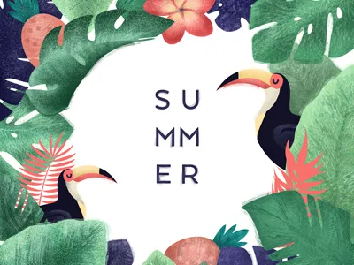 Summer illustration draw illustration leaves pelican summer