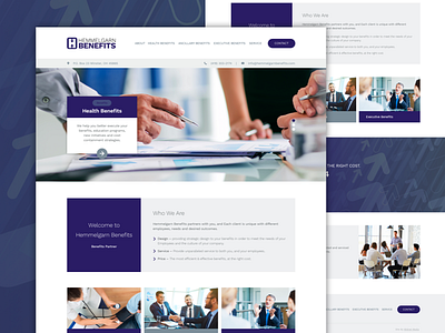 Hemmelgarn Benefits blue development graphic design minimalistic purple simple web design website