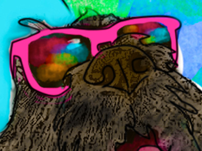 Cool In Our Sunglasses cartoon digital art illustration photoshop