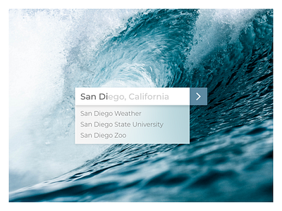 Surfs Up dailyui day022 google sandiego search