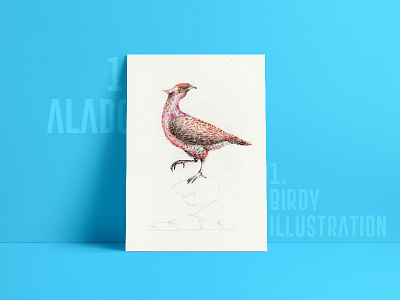 Birdy 1 animal animals art artwork bird color colorful design drawing hand draw illustration nature