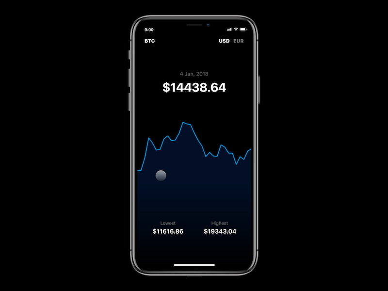 Framer + SVG + BTC bitcoin btc currency data dollar euro example framer graph poly line svg