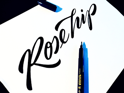 Rose hip bistro calligraphy custom flow handmade logo script sketch type unique