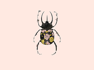 Escarabajo digital art flowers illustration ilustracion vector art