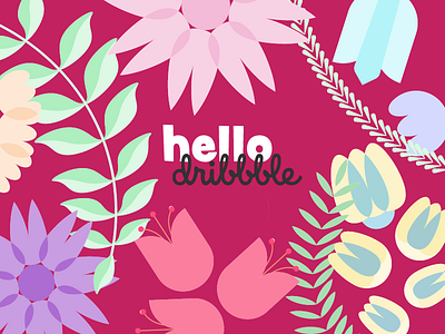 Debut Shot debut flowers plants