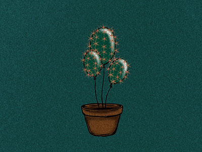 Cactus balloon balloons cactus drawing illustration plant vase