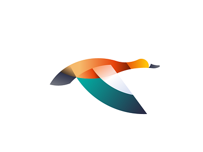 Ruddy Shelduck animal bird bird logo color logo duck duck logo flying bird flying duck gradient logo logo ruddy shelduck shibu