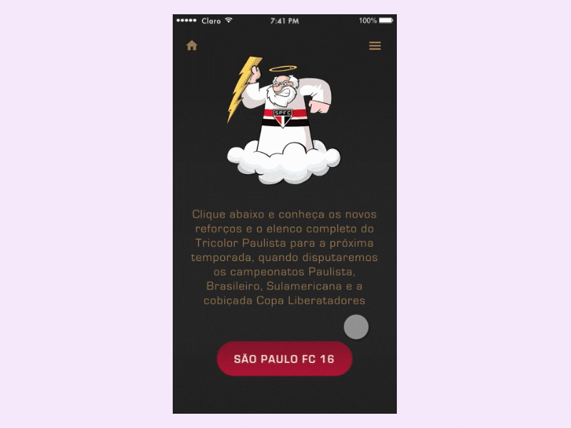 São Paulo FC Roster (Mobile App) football interface soccer sports stats são paulo ui user experience user interface ux