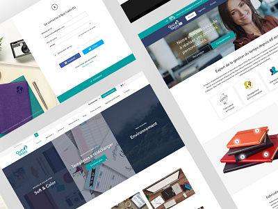 Quo Vadis redesign ui web design website