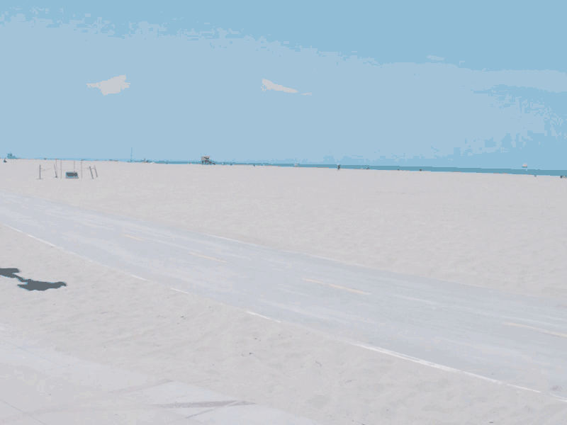 Venice Beach Skateboarding animation california icon illustration los angeles motion graphics skateboarding venice beach
