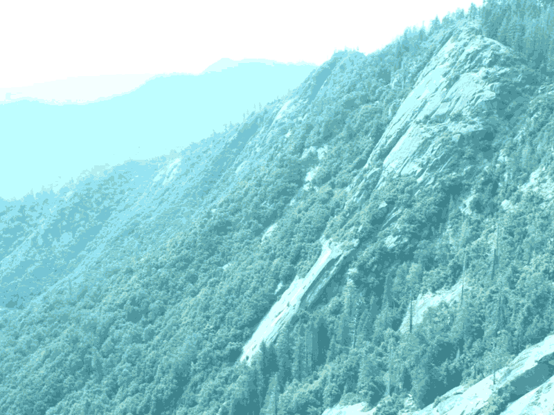 Sequoia National Park animation california icon illustration motion graphics national nature park sequoia tree usa