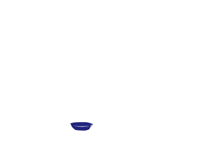 Blue Cat animation cat illustration