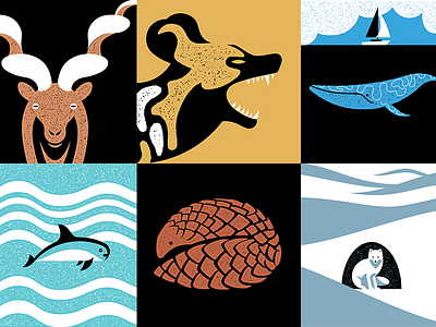 100 Day Project 1-6 animals daily endangered illustration the100dayproject