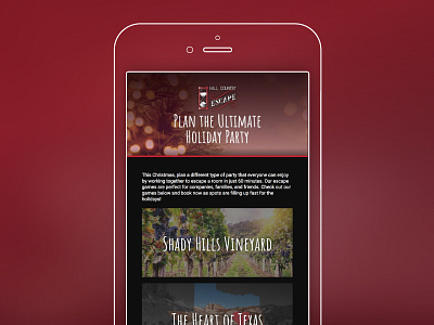 Email Marketing Design & Development - Hill Country design development email marketing