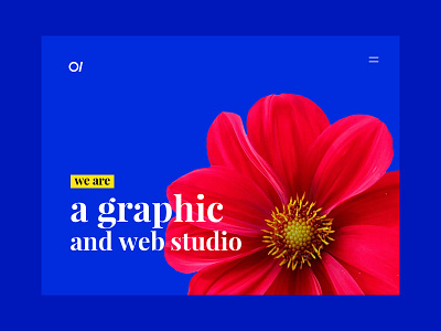 Circle Lines Media circellinesmedia concept design nepal prabin slider ui ux web website