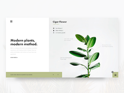 Ohh plants. clean minimal modern plants simple