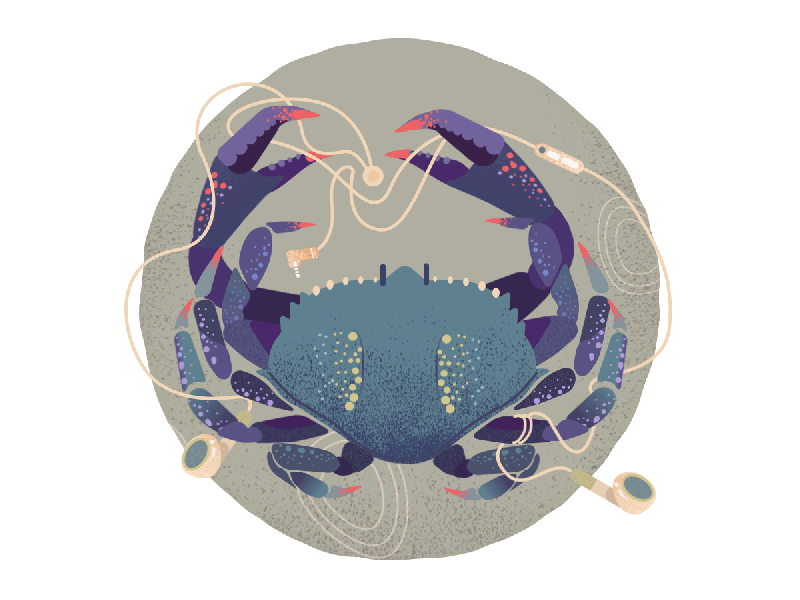 Crab