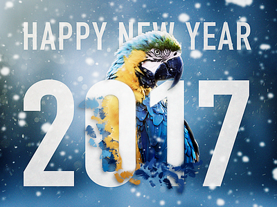 Happy New Year 2017 2017 bird happynewyear photoshop retouch retouching