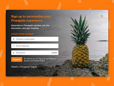 Sign Up Modal daily ui modal registration sign up