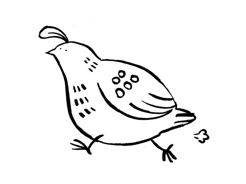 11 Run animation bird illustration inktober run