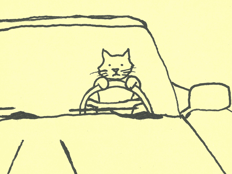 Driving Cat