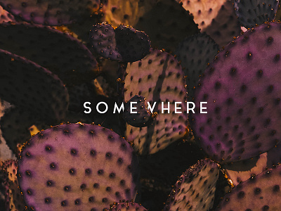 Somewhere layout photography poster typography