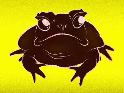 Toasty Toad by Stephen DeLorme on Dribbble