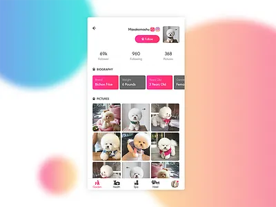 Profile - Social App for Pet Lover (WIP) mobile app pet social