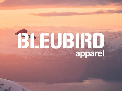 Bleubird Apparel Wordmark brandingski brandingsnowboarding clothing branding design designlogo logo logosnowboarding logowordmark outdoor clothing wordmark