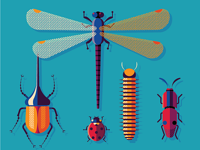 Bugs Family beetles bugs design illustration insects vector