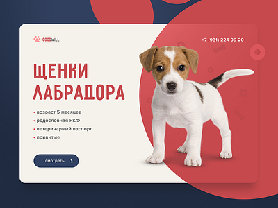 Puppies for Sale banner animal banner design dog graphic puppies web