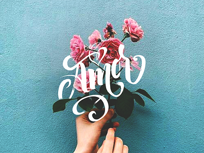 Amor amor art caligrafia calligraphy hand lettering lettering love type type design typography