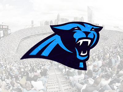 Carolina Panthers concept football logo nfl