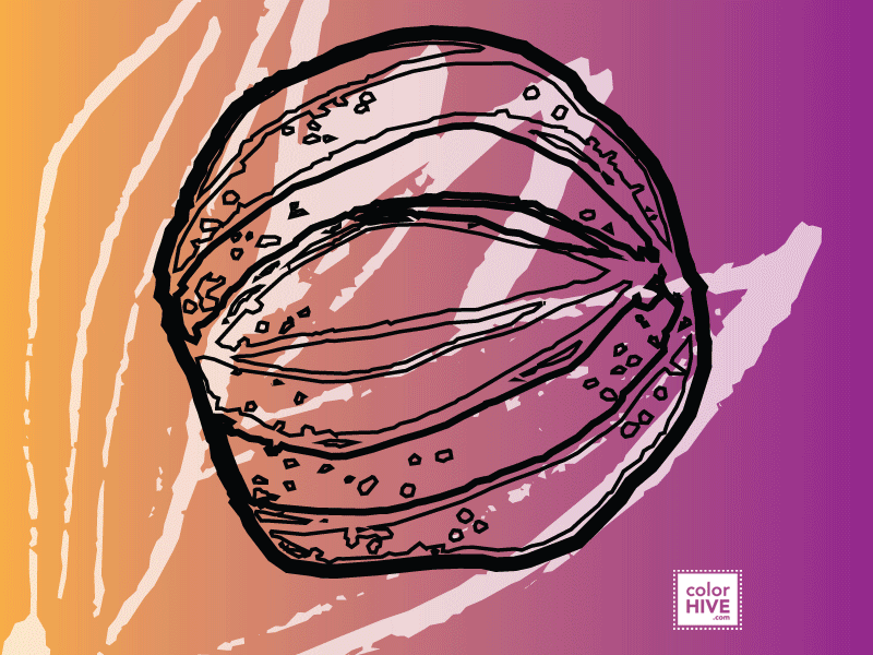 New Beginnings color illustration nature
