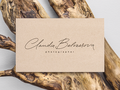 Calligraphy logo for a photographer calligraphy logo calligraphy logotype logo design logotype design photographers logo script logo