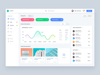 Dashboard UI for Capital admin chart dashboard data icon icons interface ui ux